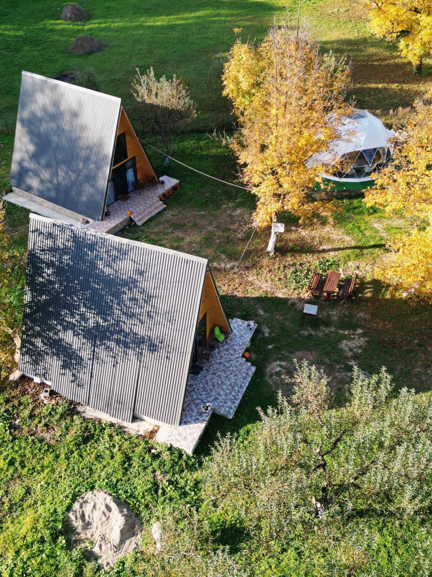 The Frog Glamping Hotel Horezu Exterior photo