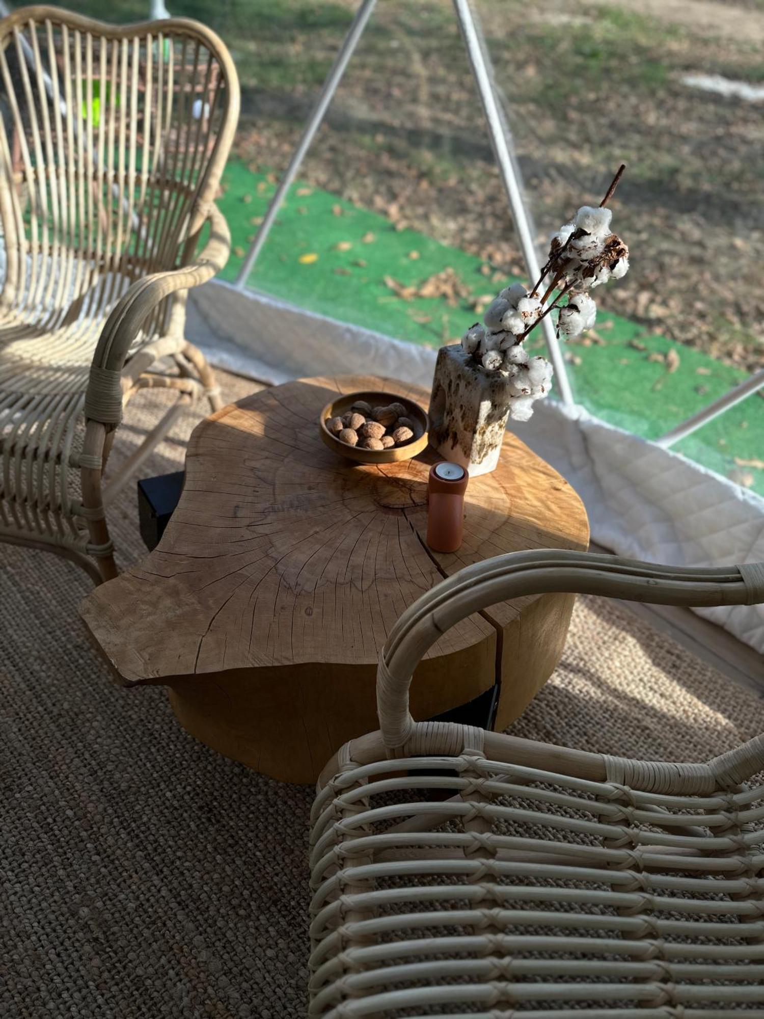 The Frog Glamping Hotel Horezu Exterior photo