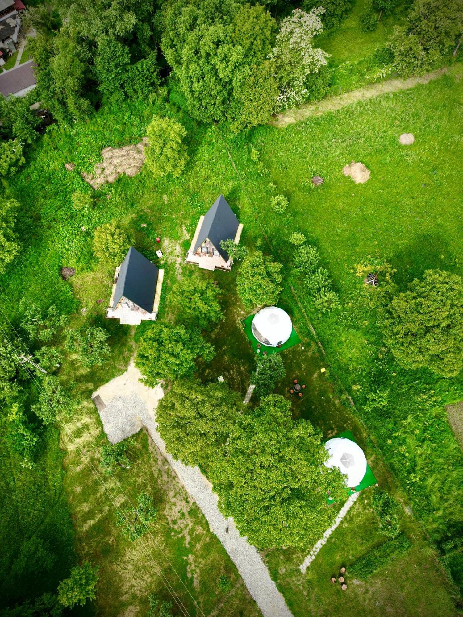 The Frog Glamping Hotel Horezu Exterior photo