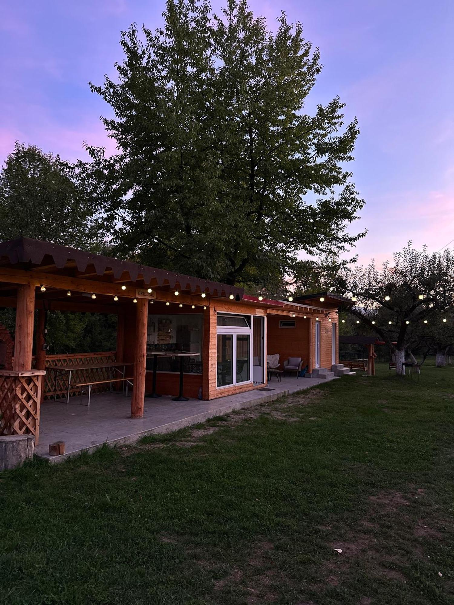 The Frog Glamping Hotel Horezu Exterior photo