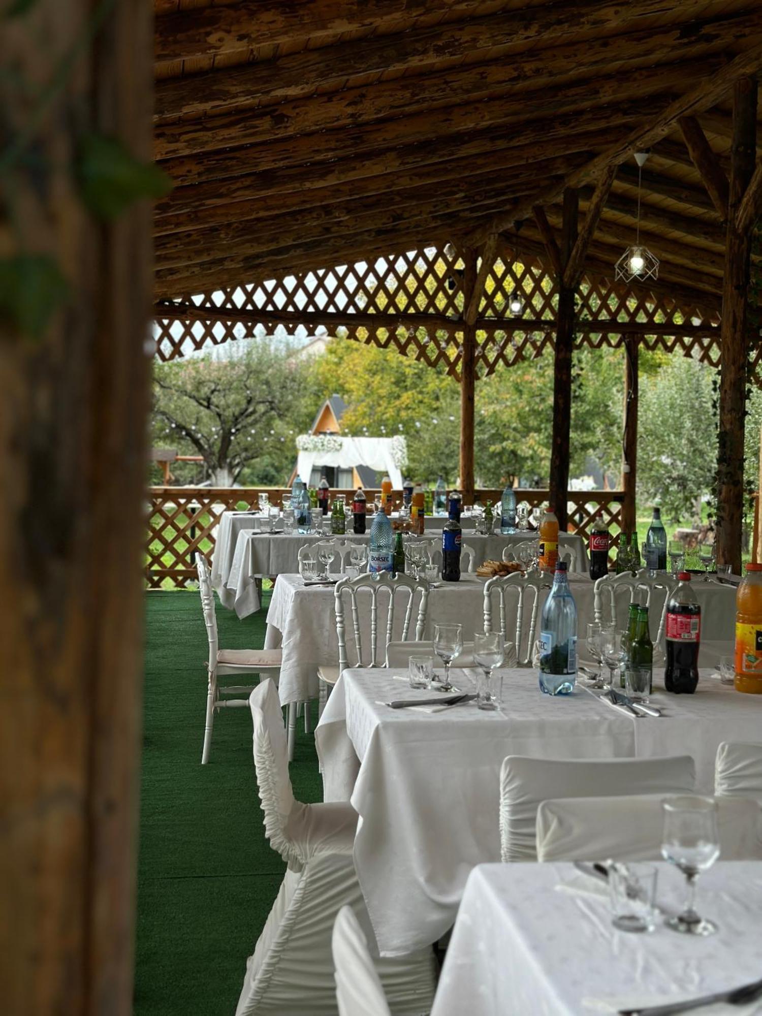 The Frog Glamping Hotel Horezu Exterior photo